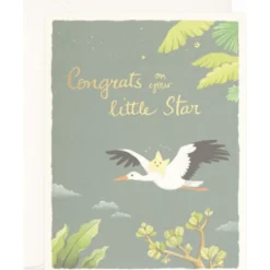 Baby & Birthday Greeting Cards -Joojoo Paper