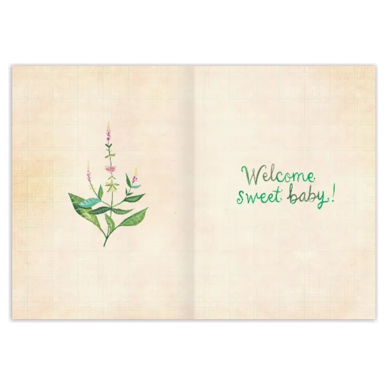 Biely & Shoaf Belong Here Baby Card
