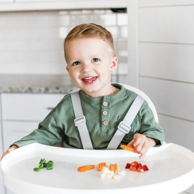Boon DIVVY™ Solids Starter Set