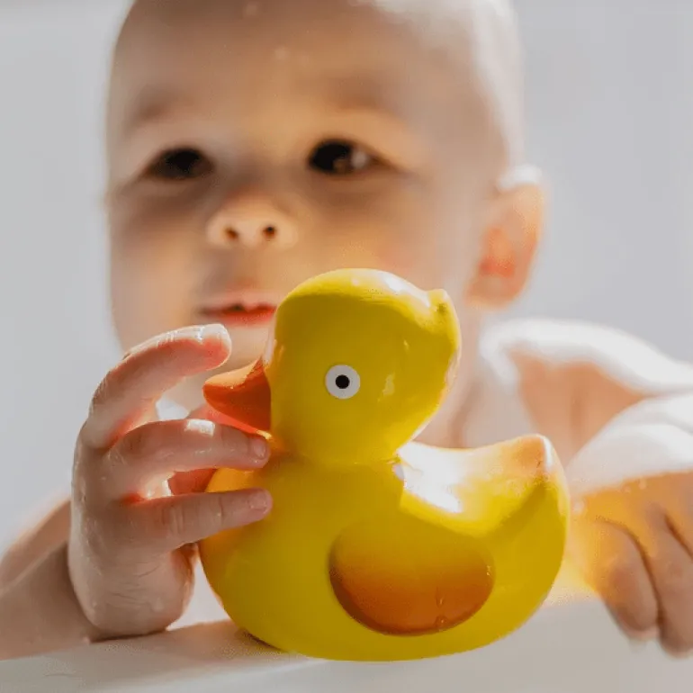 CaaOcho Lily the Duck