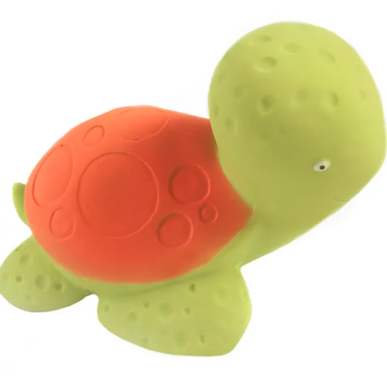 CaaOcho Mele the Sea Turtle