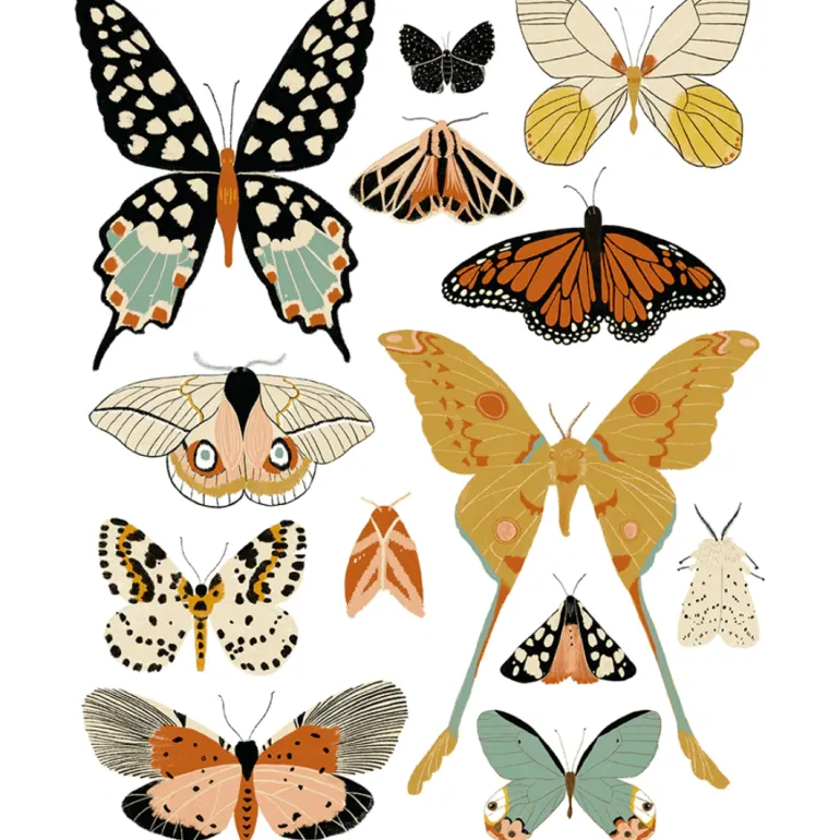 Clementine Kids Butterfly Collector Art