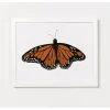 Clementine Kids Monarch Butterfly Art