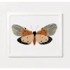 Clementine Kids Pink Butterfly Art