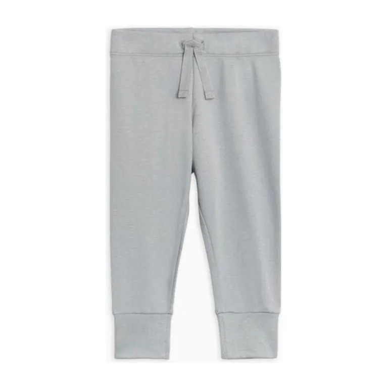 Colored Organics Cruz Joggers- Mist