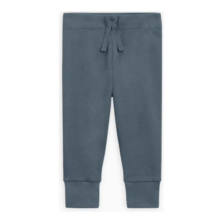Colored Organics Cruz Joggers-Harbor