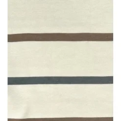 Colored Organics Madison Hooded Pullover - Max Stripe Teal +Taupe