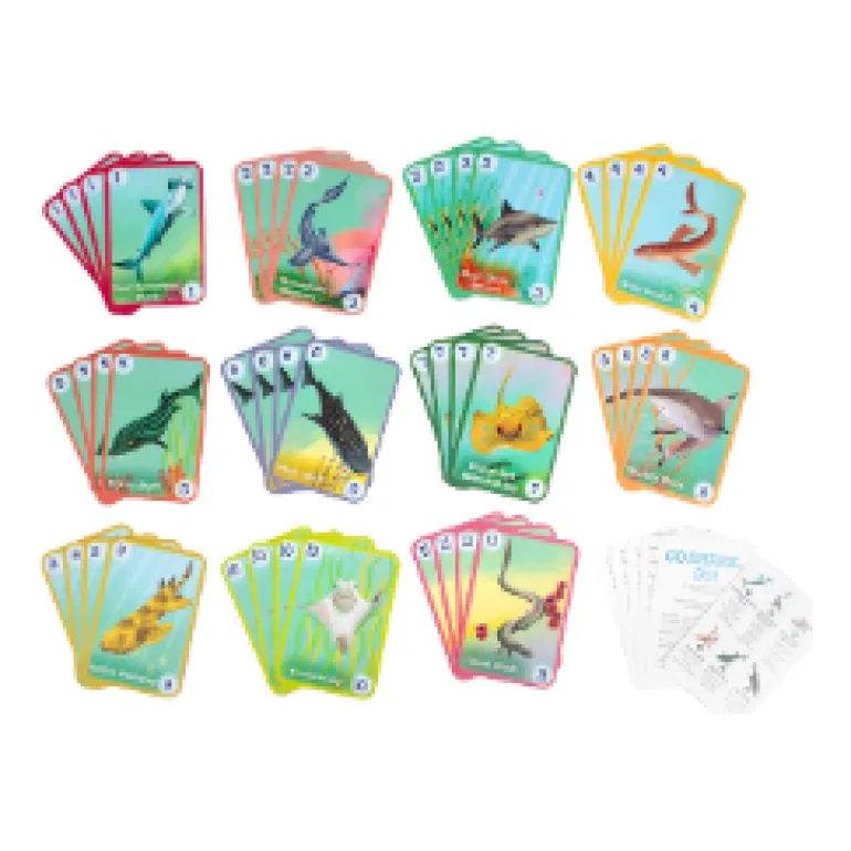 eeBoo Go Shark Go! Playing Cards