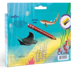 eeBoo Shark 12 Special Biggie Color Pencils