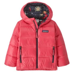 Fall 2024 Patagonia Baby Hi-Loft Down Sweater Hoody