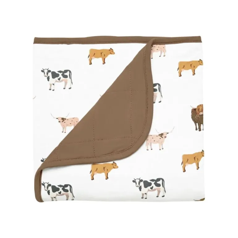 Kyte Baby Baby Blanket