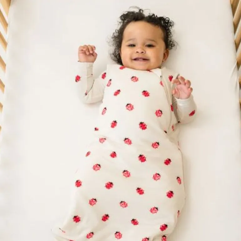 Kyte Baby Sleep Bag 1.0