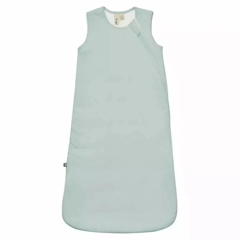 Kyte Baby Sleep Bag 1.0