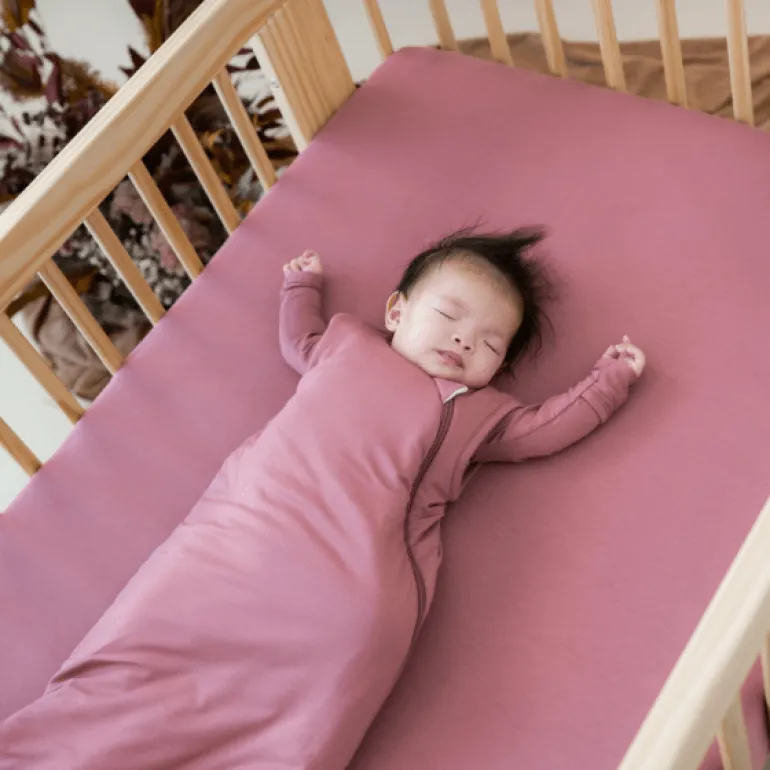Kyte Baby Sleep Bag 1.0