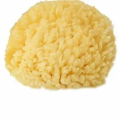 Kyte Sea Sponge