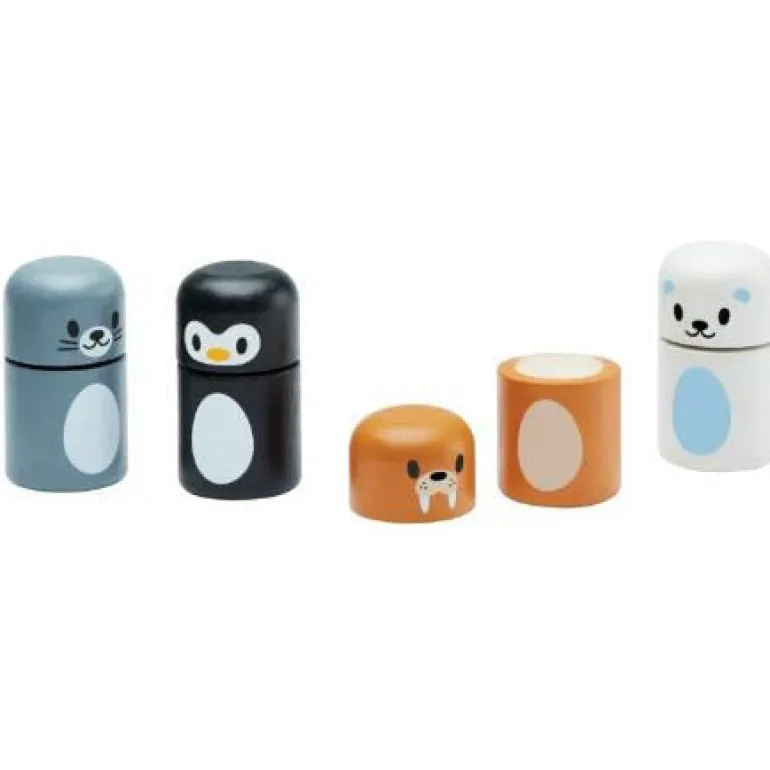 Plan Toys Arctic Animal Matching
