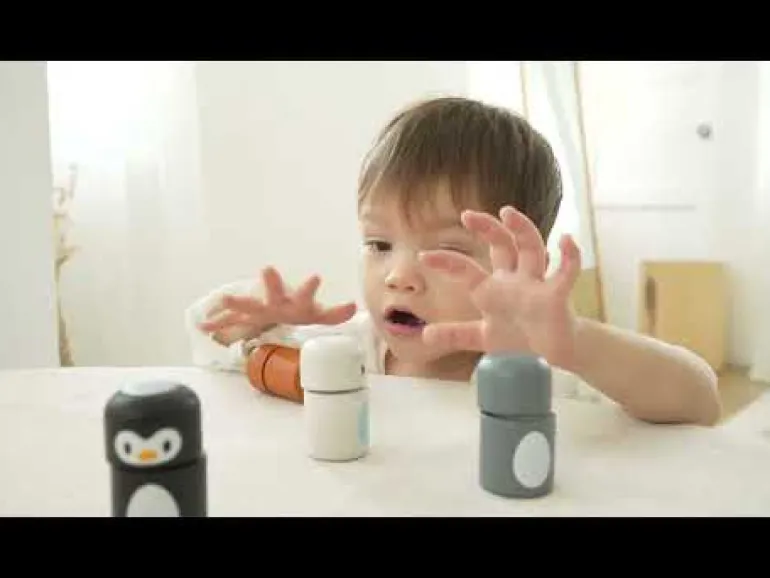 Plan Toys Arctic Animal Matching