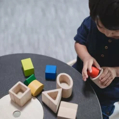 Plan Toys Geo Matching Blocks