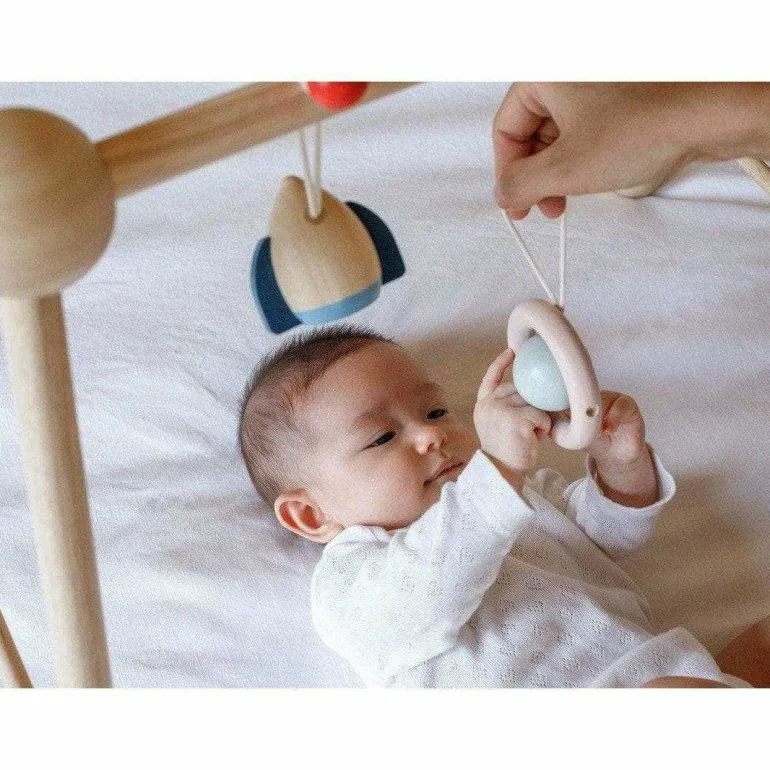 Plan Toys Play Gym - Orchard Series