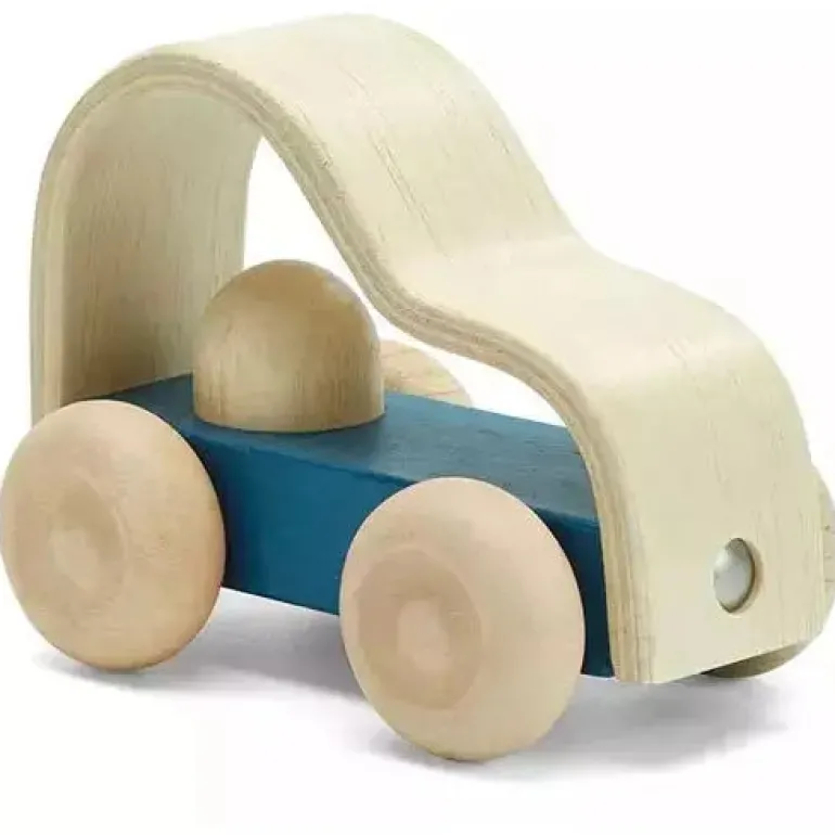 Plan Toys Vroom Truck
