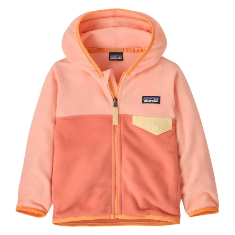 Spring 2025 Patagonia Baby Micro D Snap-T Jacket