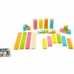 Tegu 24 Piece Magnetic Wooden Block Set: Tints