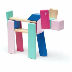 Tegu 24 Piece Magnetic Wooden Block Set: Blossom