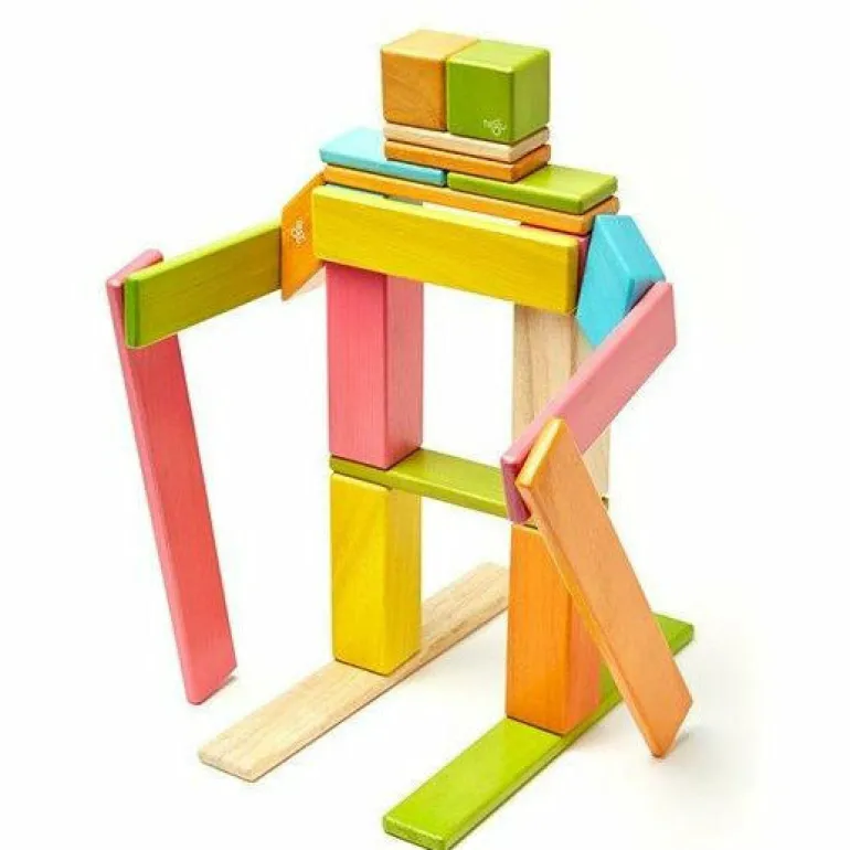 Tegu 24 Piece Magnetic Wooden Block Set: Tints