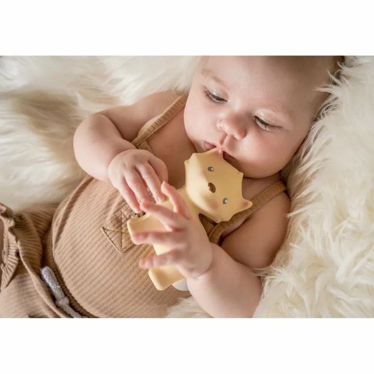 Tikiri Arctic Fox Teether