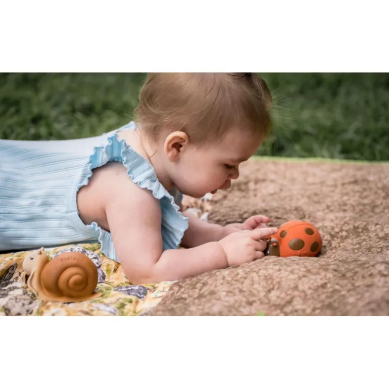 Tikiri Ladybug Teether, Rattle & Bath Toy