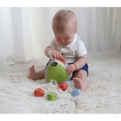 Tolo Bio Shape Sorter
