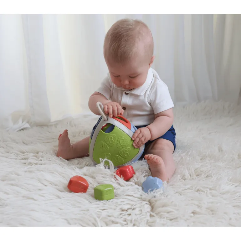 Tolo Bio Shape Sorter