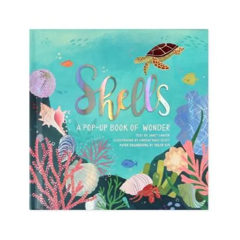Up with Paper Pop Up Book - Shells