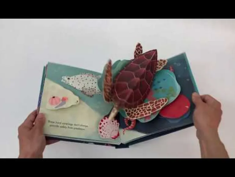 Up with Paper Pop Up Book - Shells
